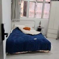 湾仔鵝頸波斯富大厦77-83号公寓B