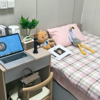 尖沙咀-加连威老道73号106，可直接拎包入住，懒人福音