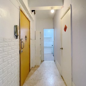 港岛-德辅道西德富大楼(男)----独栋洋楼带电梯