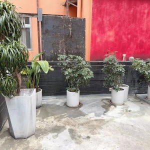 圣佛兰士街10-12号独卫单间距金钟500米