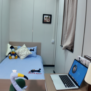 尖沙咀Studio61号顶配设施完备户型完美1E