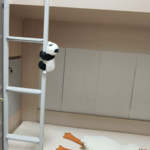 尖沙咀65号双人间305-理工步行5分钟独立卫浴仅限男生，都会大学巴士通勤15分