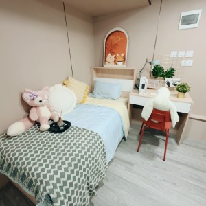 旺角青年公寓AB区A9-独卫单间有窗专业学生公寓，理工16分到都会15分，旺角站270米，生活便捷