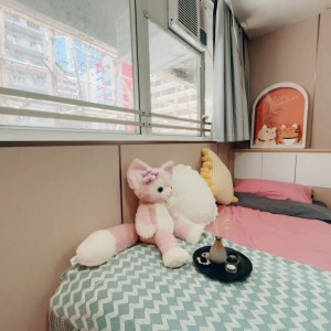 旺角青年公寓AB区A8-独卫单间有窗专业学生公寓，理工16分到都会15分，旺角站270米，生活便捷