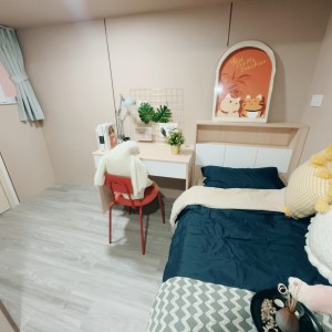 旺角青年公寓CD区C10-独卫超值单间有窗专业学生公寓，理工16分都会15分，旺角站270米，电梯洋楼