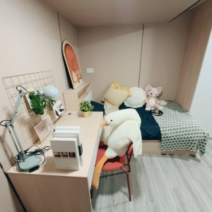 旺角青年公寓CD区C10-独卫超值单间有窗专业学生公寓，理工16分都会15分，旺角站270米，电梯洋楼