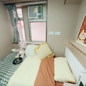 旺角青年公寓CD区D2-独卫超值单间有窗专业学生公寓，理工16分都会15分，旺角站270米，电梯洋楼