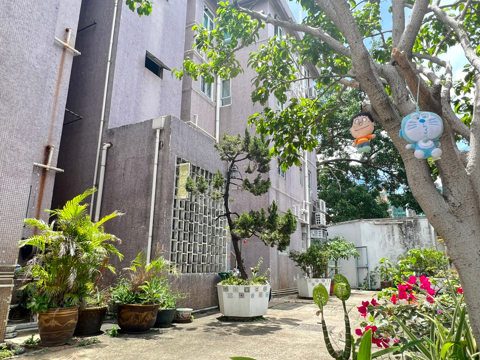 屯门怡卢3座1D单间2号-独栋小别墅三面采光,超值6k+单间,岭南大学步行+巴士9分钟即可到达图8