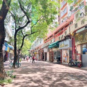 屯门东威阁两室一厅房1-岭南大学步行+巴士14分即达，屯门站10分钟步行，精致带电梯洋楼