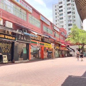 屯门东威阁两室一厅房2-岭南大学步行+巴士14分即达，屯门站10分钟步行，精致带电梯洋楼