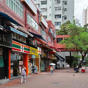 屯门东威阁两室一厅房2-岭南大学步行+巴士14分即达，屯门站10分钟步行，精致带电梯洋楼