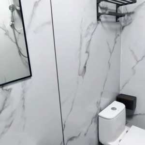 尖沙咀65号512B带窗独卫单间-理工步行五分，尖沙咀地铁站步行6分，都会大学巴士通勤15分