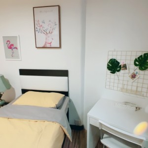 薄扶林道33号2F前座单人间A-港岛罕有特巨型公寓，男生专属，步行5分即达港大