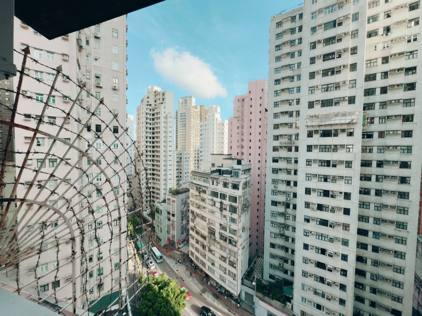 兴华大厦单人间8-十一室七厅男生专属港大步行5分钟图3