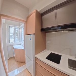 旺角亚皆老街二室一厅A房，全新精装，理工城大浸会均适合