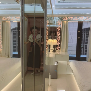 中西区永乐街顶流studio紫金阁公寓2A3-港大通勤10分装修豪华带电梯