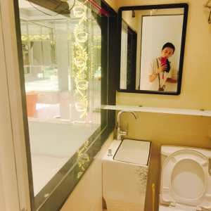 中西区永乐街顶流studio紫金阁公寓4A3-港大通勤10分装修豪华带电梯