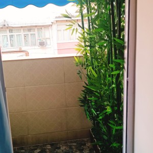 太子西洋菜北街和益楼175室A/B房-限男生