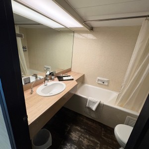 沙田丽豪酒店28平超豪华单人间，河景电梯洋房舒适型酒店，步行6分即达沙田围站，恒生大学小巴16分，中文大学通勤20分，城大浸会通勤23分