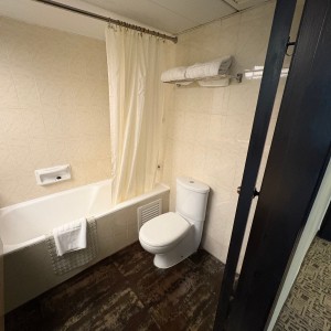 沙田丽豪酒店28平超豪华单人间，河景电梯洋房舒适型酒店，步行6分即达沙田围站，恒生大学小巴16分，中文大学通勤20分，城大浸会通勤23分