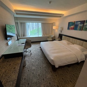沙田丽豪酒店28平超豪华单人间，河景电梯洋房舒适型酒店，步行6分即达沙田围站，恒生大学小巴16分，中文大学通勤20分，城大浸会通勤23分