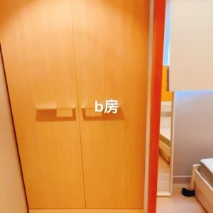 九龙太子西洋菜南街222号独卫单间B房，太子站步行2分，旺角东步行8分，浸会城大通勤15分