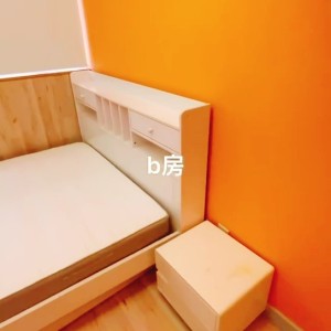九龙太子西洋菜南街222号独卫单间B房，太子站步行2分，旺角东步行8分，浸会城大通勤15分