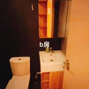 九龙太子西洋菜南街222号独卫单间B房，太子站步行2分，旺角东步行8分，浸会城大通勤15分