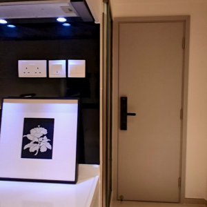 尖沙咀加连城大厦studio，尖沙咀站步行2分，理工步行10分即达，电梯洋楼带干湿分离卫生间