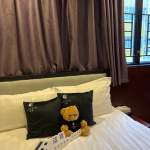 佐敦上海街RED酒店式学生公寓A房，步行7分内油麻地佐敦双站可达，理工巴士2站，都会巴士15分，配置豪华租期10个月！