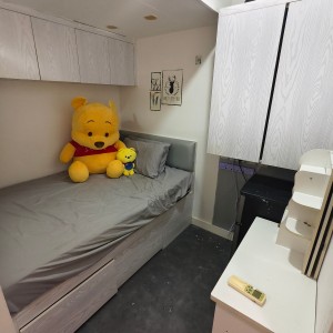 尖沙咀温莎大厦studioG室A房，1分钟即达尖沙咀站，理工只要步行700米！一房一厅推窗见海景