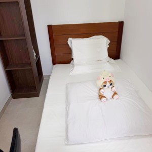 上环普庆坊4楼两室一厅套房整租，推窗即看公园景，全新装修双卫套间，超大平米居住舒适